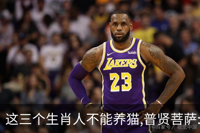 这三个生肖人不能养猫,普贤菩萨:不是养不起,是相生相克,因果相撞